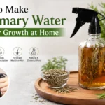 How to Make Rosemary Water for Hair Growth at Home